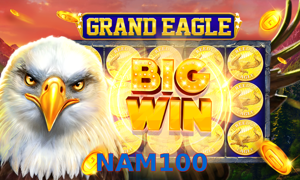 NAM100