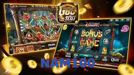 NAM100