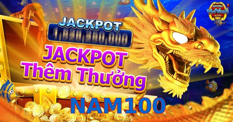 NAM100